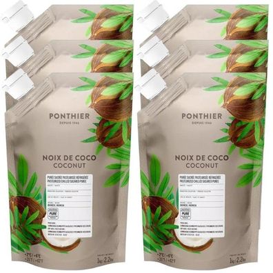 Ponthier Kokosnuss Fruchtpüree 6x 1kg Premium Kokospüree aus Indonesien für Desserts