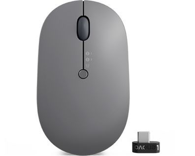Lenovo Go Multi-device - Maus - optisch blau