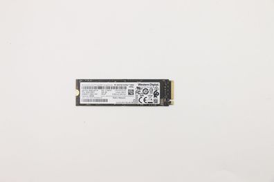 Lenovo 5SS0V26411, 256 GB, M.2