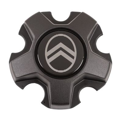 Radnabendeckel 1695141480