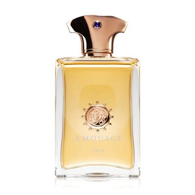 Amouage Amouage Dia Man Eau De Parfum 100 ml (man)