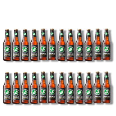 Brooklyn Hoppy Amber Lager 24 x 0,33l- Craft Beer aus New York mit 5,2% Vol