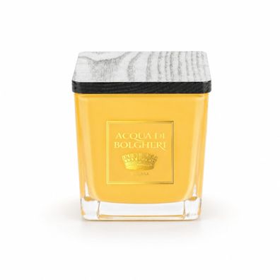 Acqua di Bolgheri Oro Duftkerze Holzdocht | Bergamotte, Rose & Jasmin | 200 g