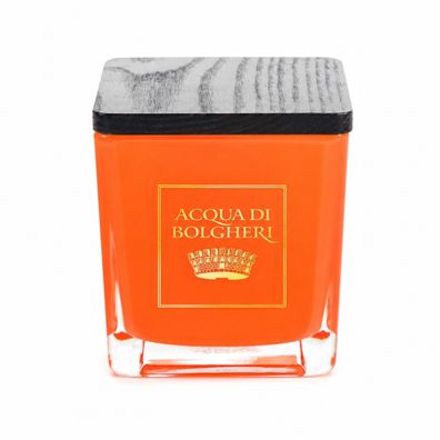 Acqua di Bolgheri Scirocco Duftkerze Sojawachs Holzdocht | Amber Vanille | 200 g