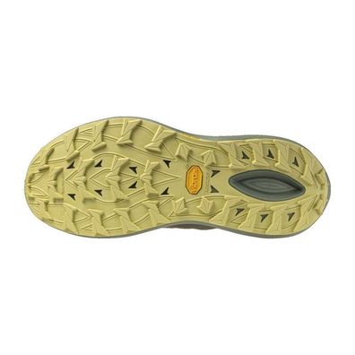 Mizuno Laufschuhe Neo Daichi 10(M) J1GM2680