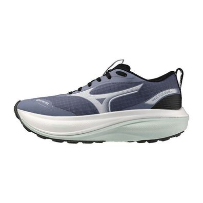 Mizuno Damen Laufschuhe Wave Rider Gtx 4(W) J1GW2630