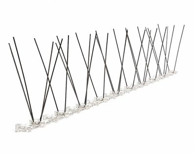 Taubenabwehr, 3-reihig Edelstahl Taubenspikes auf 50 cm Polycarbonatleiste