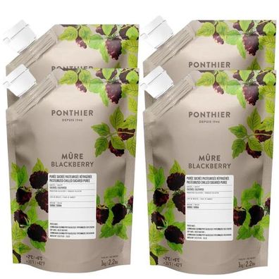 Ponthier Brombeere Fruchtpüree 4x 1kg Premium Brombeerpüree aus Serbien für Desserts