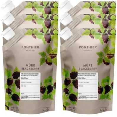 Ponthier Brombeere Fruchtpüree 6x 1kg Premium Brombeerpüree aus Serbien für Desserts