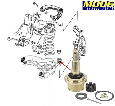 Traggelenk vorne unten links/rechts RAM 1500 2WD & 4WD Bj:09-25 (Gen.4)