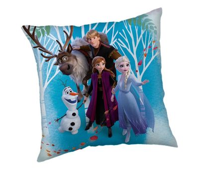 Disney Frozen, Die Eiskönigin Kissenbezug Maße ca. 40 x 40 cm