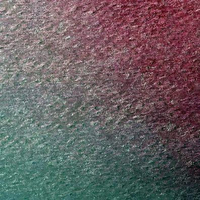Clairefontaine Etival Color 160g 50x65 250B Brdeau