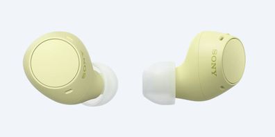 Sony WF-C510 - True Wireless-Kopfhörer mit Mikrofon