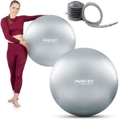 Gymnastikball 75 cm NS-952 silber