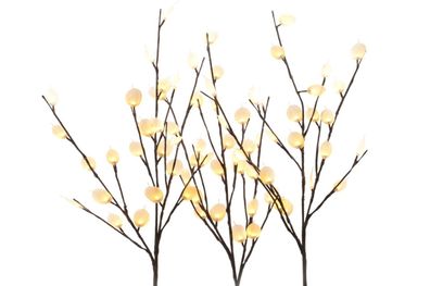 Kaemingk 3 Silberdollarzweige mit je 24 warmweißen LED, Innen, Innentrafo