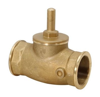 Schlösser Armaturen Rueckschlagventil, Geradsitz Muffenanschluss, DN50, G 2"