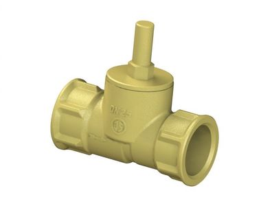 Schlösser Armaturen Rueckschlagventil, Geradsitz Muffenanschluss, DN25, G 1"