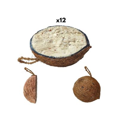 12 Halbe Kokosnüsse mit Erdnuss – Exotischer, Knuspriger Snack