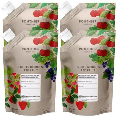 Ponthier Rote Früchte Fruchtpüree 4x 1kg Premium Beerenpüree 90% Frankreich Serbien