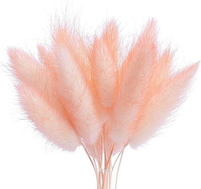 getrocknete Lagarus Blumen (Bunny Tails) Set Kuchen Cupcake Zubehör #Y68-1211