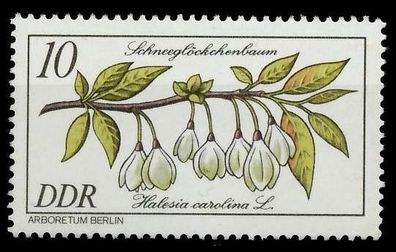 DDR 1981 Nr 2574 postfrisch SE308FA