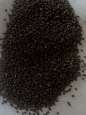 Papaver somniferum Black Swan, 10.000 Samen Echter Schlafmohn Mohnblume