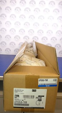 SMC LEFS25LB-750B