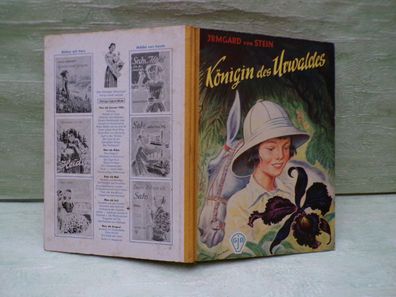 Irmgard von Stein Königin des Urwaldes GJB Fischer oJ C Durban