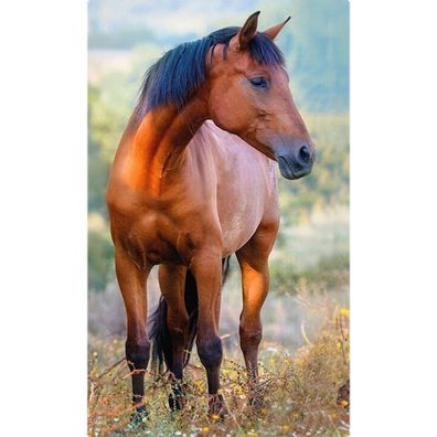 Pferd Brown Gesichtstuch für Kinder aus Baumwolle - 30 x 50 cm