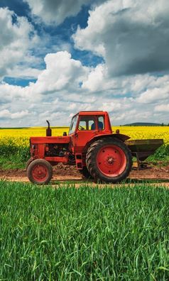 Traktor Field Work Gesichtstuch für Kinder aus Baumwolle - 30 x 50 cm