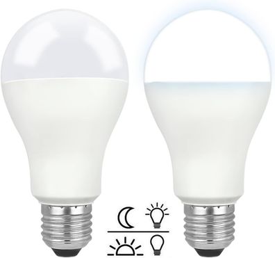 LED-Glühbirne E27 12W kaltweiß 6000K