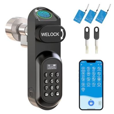 Serrure connectée biométrique RUILON U81 à code, RFID et empreinte digitale