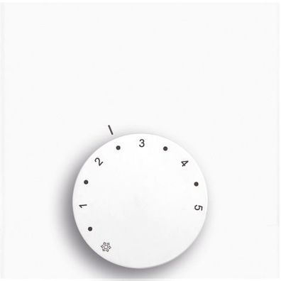 Raumthermostat analog Hausmarke