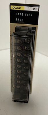 Omron C200H-OC222 Output Unit 250VAC/24VDC 2A - Used