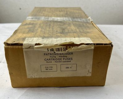 5x LK?NES 170E5125 260A 500V HL Cartridge Fuses CA/CD 95mm NEW