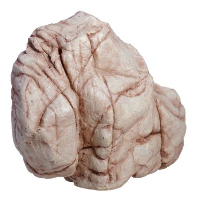 Hobby Sandstone Rock 4 - Dekoration für Aquarium und Terrarium