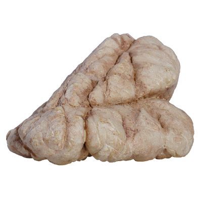 Hobby Sandstone Rock 5 - Dekoration für Aquarium und Terrarium