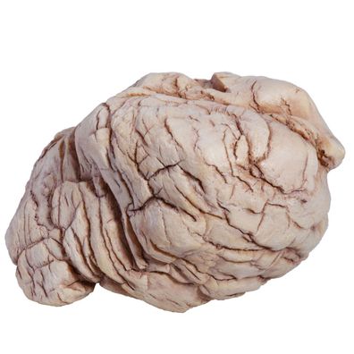 Hobby Sandstone Rock 3 - Dekoration für Aquarium und Terrarium