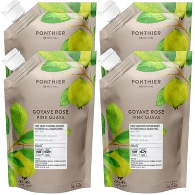 Ponthier Guave Fruchtpüree 4x 1kg Premium Guavenpüree 90 % Frucht aus Madagaskar