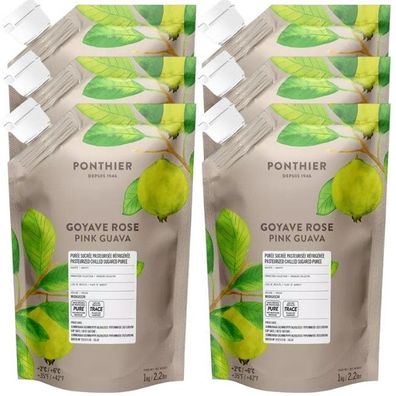 Ponthier Guave Fruchtpüree 6x 1kg Premium Guavenpüree 90 % Frucht aus Madagaskar