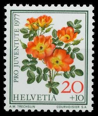 Schweiz PRO Juventute Nr 1112 postfrisch S13EF9A