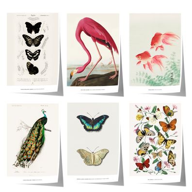 Vintage Tier Poster · Geschenkidee · Schmetterlinge Flamingo, Pfau Botanische