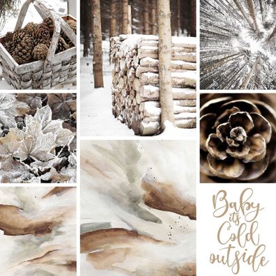 Winter Tannenzapfen Baumstämme Frostblätter Poster · Bilder Wohnzimmer · Wand