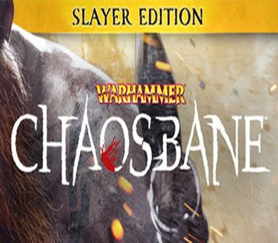 Warhammer: Chaosbane Slayer Edition – Steam Key (Aktivierungscode) [EU]