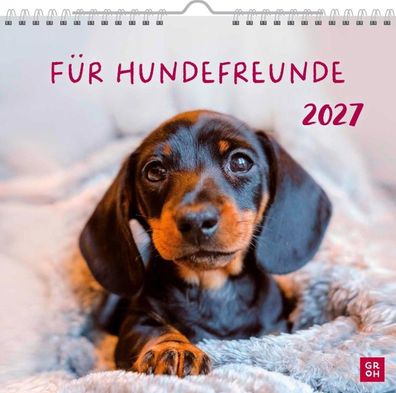 Wandkalender 2027: Für Hundefreunde: Hundekalender mit niedlichen Hundefotos