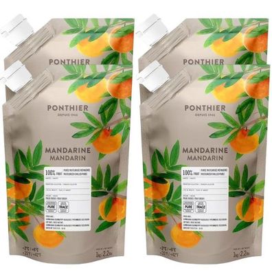 Ponthier Mandarine Fruchtpüree 4x 1kg Premium Mandarinenpüree 100 % Frucht Sizilien