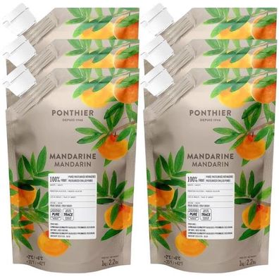 Ponthier Mandarine Fruchtpüree 6x 1kg Premium Mandarinenpüree 100 % Frucht Sizilien