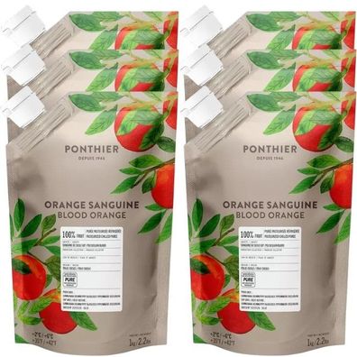 Ponthier Blutorange Fruchtpüree 6x 1kg Premium Blutorangenpüree 100 % Sizilien IGP