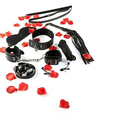 Toyjoy BDSM-Starter-Kit für Einsteiger mit Maske und Peitsche