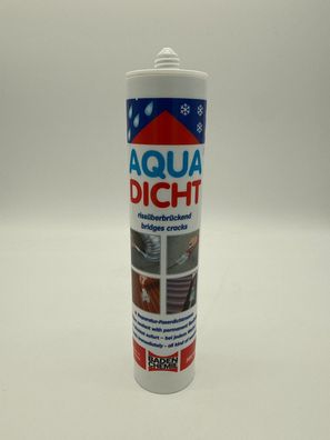 Aqua Dicht 300 ml - streichbare, elastische Reparatur-Dichtmasse in Grau